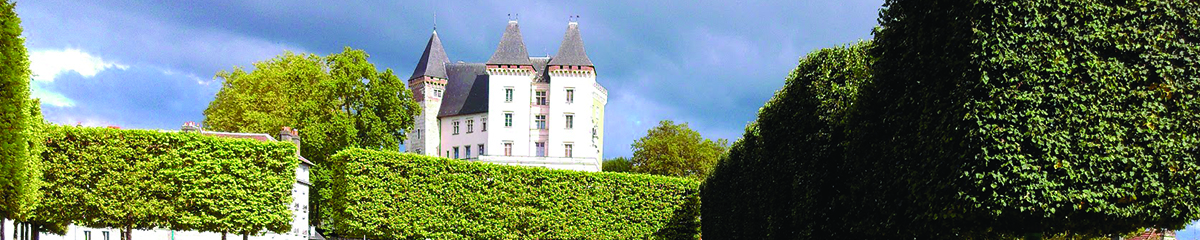 château de pau vu du parc; château souligné par le sommet d'arbres taillés au carré
