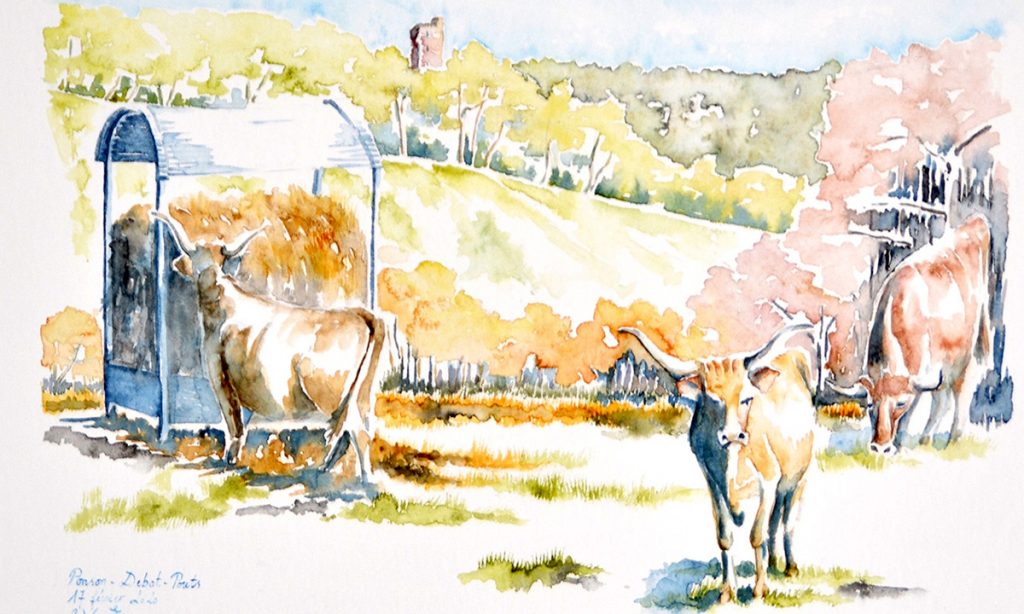 A droite, en premier plan, une vache béarnaise arrive droit sur vous. Plus en retrait, tout à droite, une autre vache broute, elle est de face. Sur la gauche, sur un plan intermédiaire, une vache béarnaise prend du foin dans un distributeur. Elle est de dos. Derrière et au dessus des coteaux boisés, et quasi au centre gauche, une tour en briques rouges. L'aquarelle est dans des tonalités de fin d'hiver, début de printemps, ocre / doré avec des reflets roses ou vert