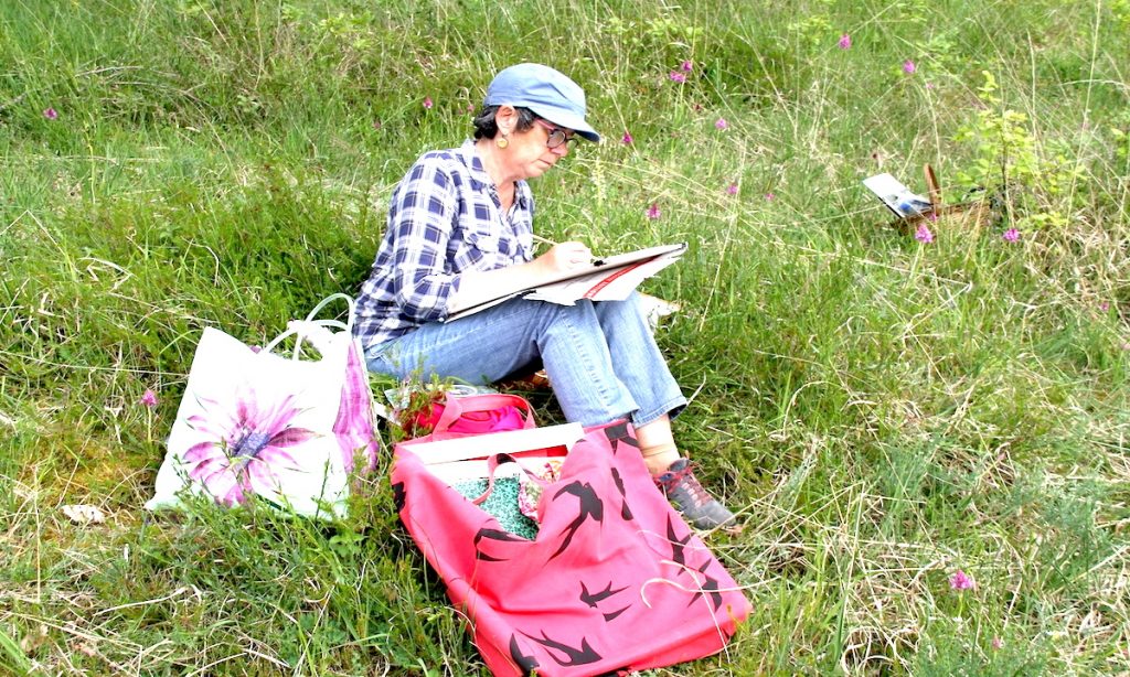 Orchidées : sur les pelouses sèches du Vic-Bilh, Cécile Van Espen peint à l'aquarelle une orchidée