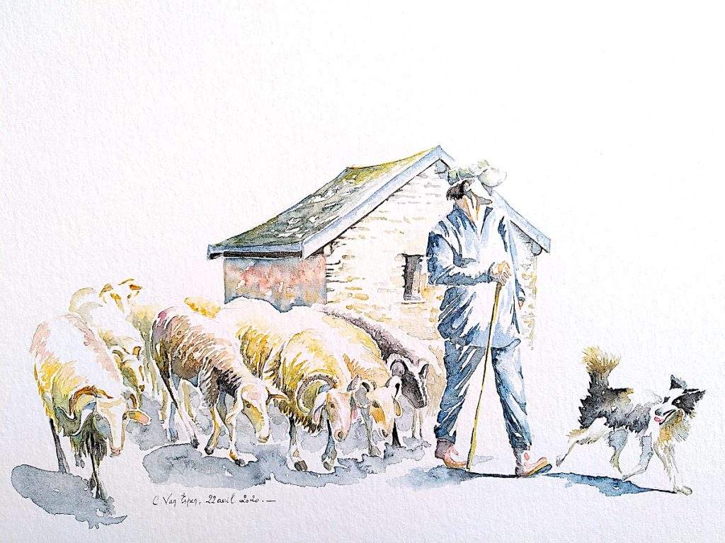 Aquarelles du béarn : troupeau de moutons ; en tête du troupeau à droite, le chien suivi du berger puis du troupeau