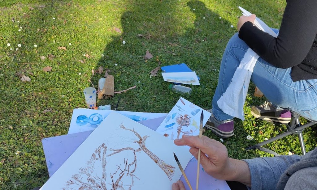 ateliers aquarelle : dans le parc du château de Pau, les arbres taillés en rideau