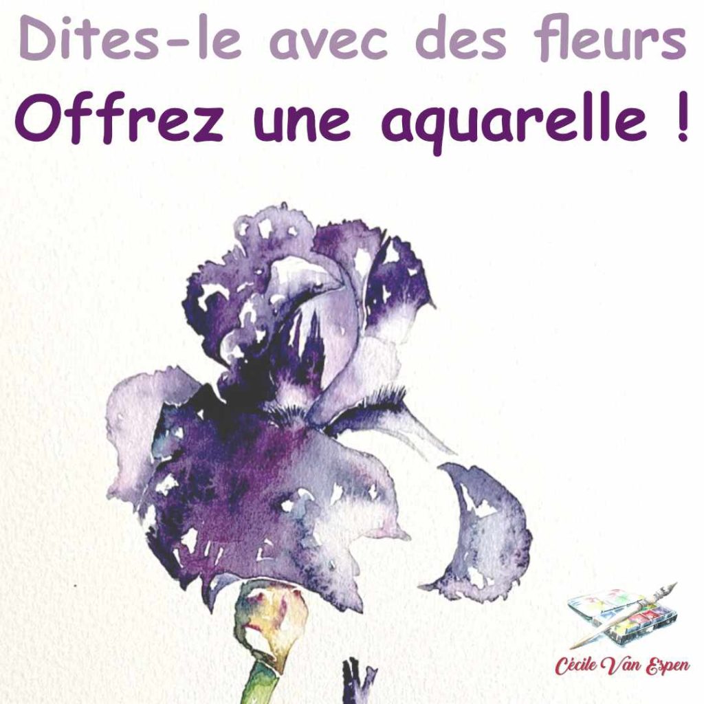 Avec des fleurs : iris violet peint à l'aquarelle