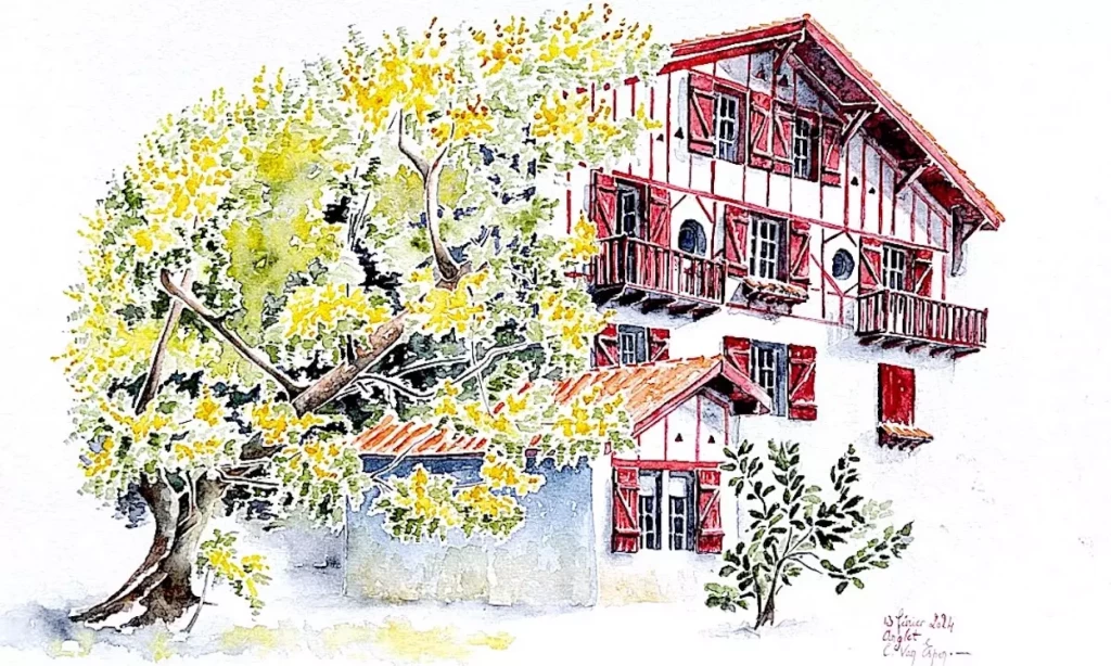 Pays Basque : aquarelle peinte in situ par Cécile Van Espen. Sur le premier plan gauche, un mimosa en pleine floraison. Il couvre une etxe sur sa bordure gauche. Elle est à 3 étages aux boiseries rouges avec en rez-de-chaussée une petite avancée qui part de dessous le mimosa.